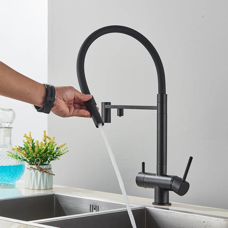 Afralia™ Black Filtered Kitchen Faucet Brass Dual Handle Pure Water Mixer Taps