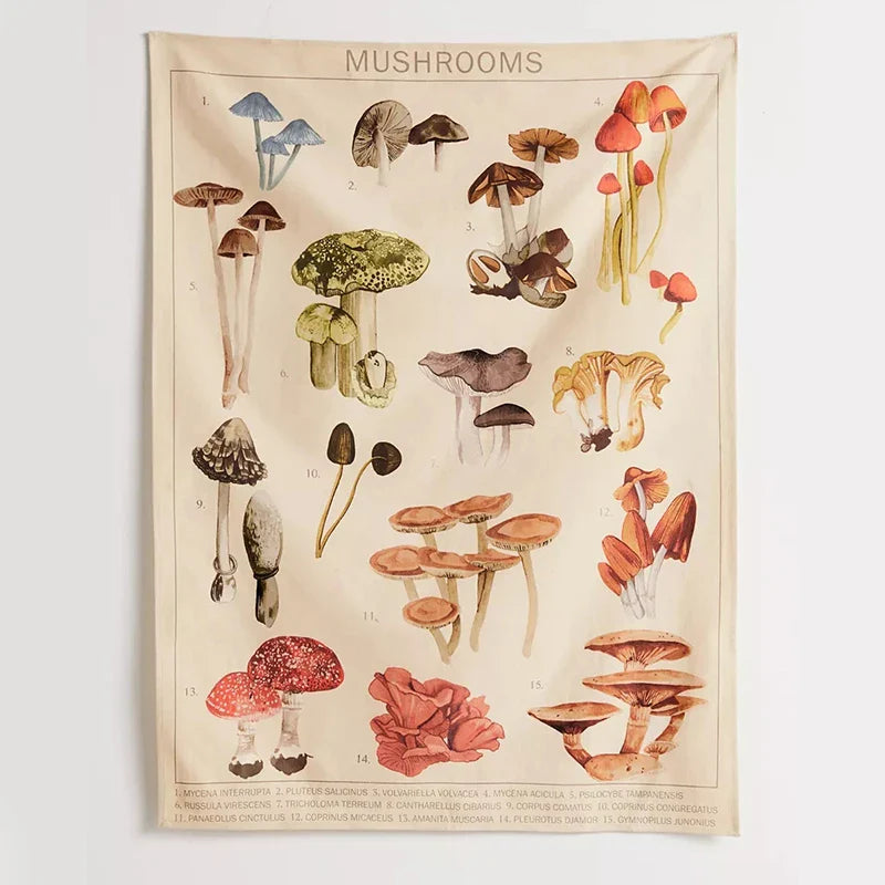 Afralia™ Mushroom Identification Chart Wall Art - Mycology Champignon Illustration Boho Decor