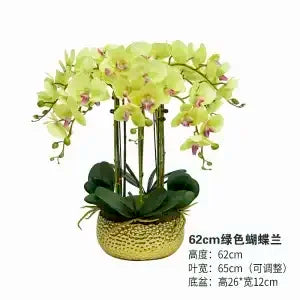 Afralia™ Phalaenopsis Flower in Pot: High-End Hand Moisture Simulation & Art Decoration