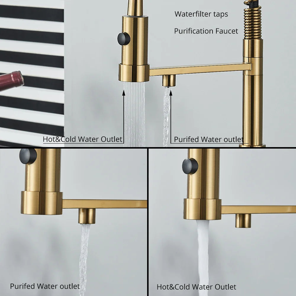 Afralia™ Dual Spout Water Filter Faucet with Rotation Water Purification Feature