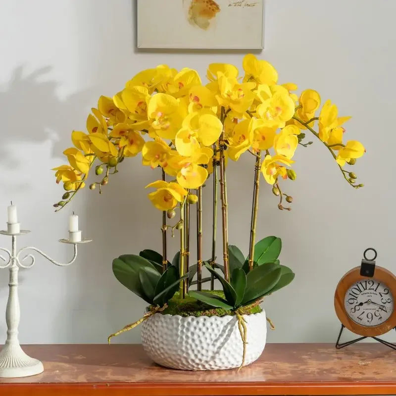 Afralia™ Phalaenopsis Flower in Pot: High-End Hand Moisture Simulation & Art Decoration