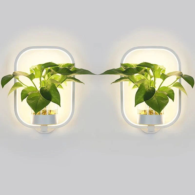 48218041450800|48218041549104