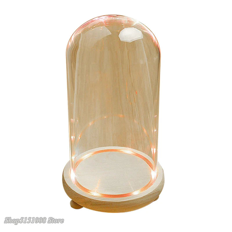 Afralia™ Glass Dome Night Light with Dry Flower Ornaments on Wood Base