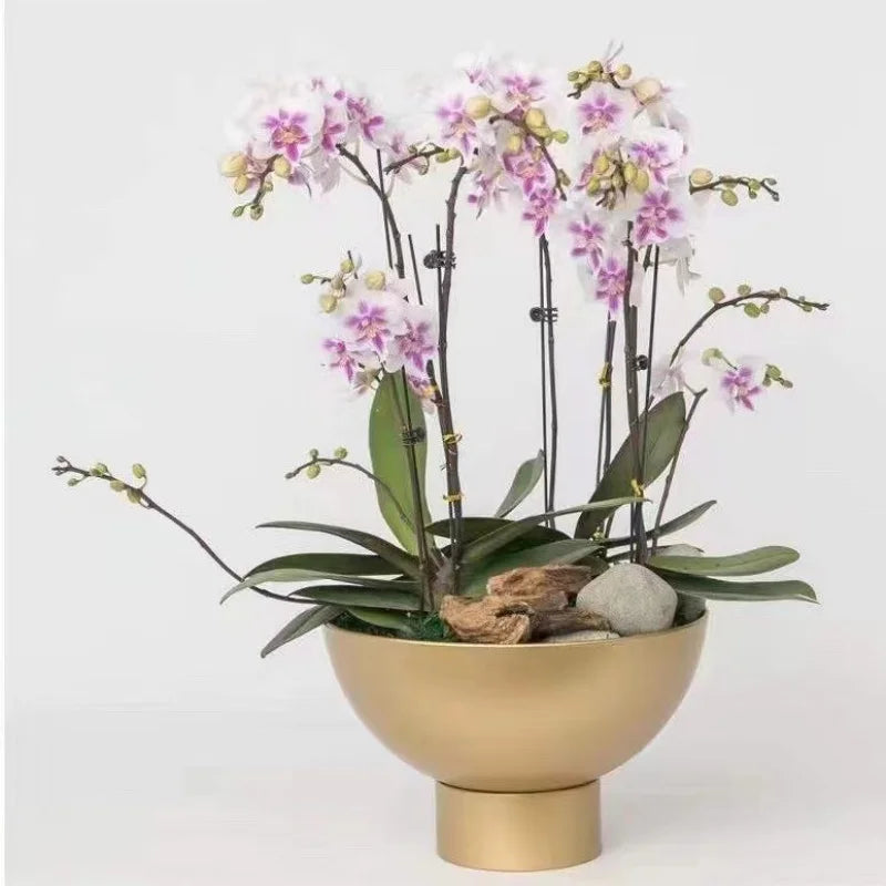 Afralia™ Tall Orchid Flowerpot Vase Golden Metal Balcony Decor Arrangement