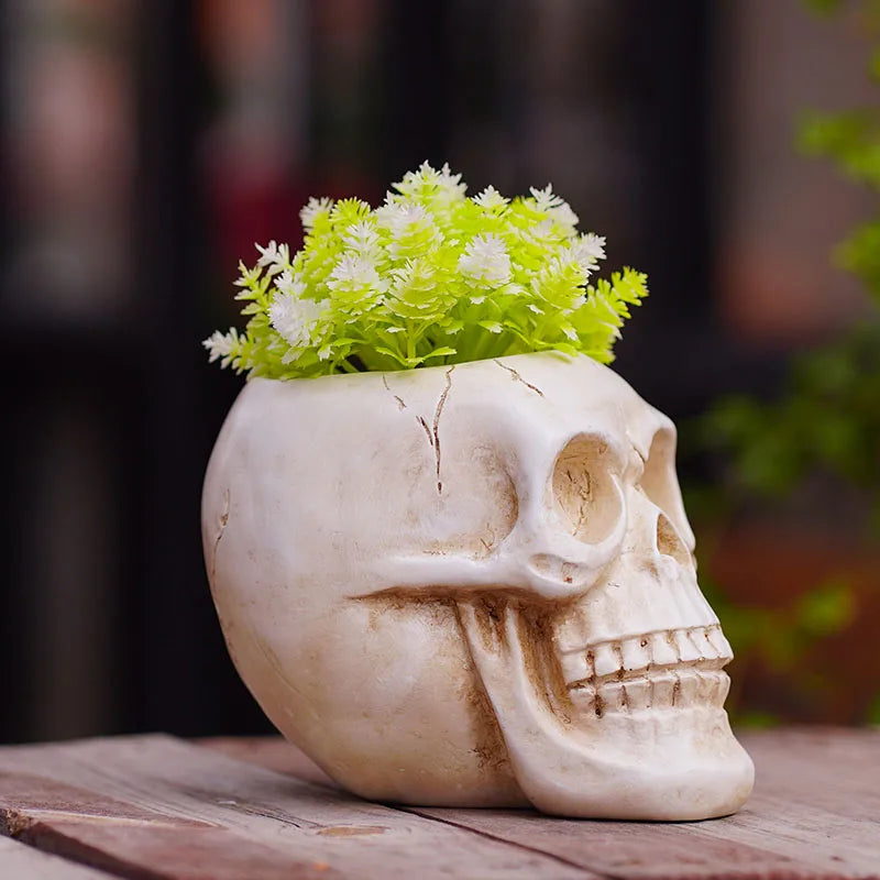 Afralia™ Skeleton Head Flower Pot: Creative Resin Multi-Meat Storage Figurine