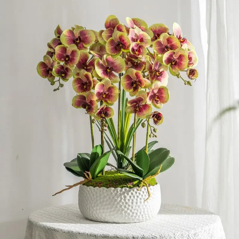 Afralia™ Phalaenopsis Flower in Pot: High-End Hand Moisture Simulation & Art Decoration