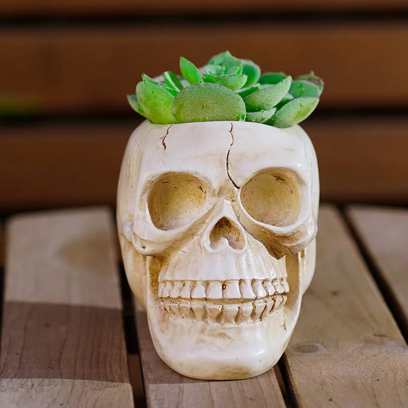 Afralia™ Skeleton Head Flower Pot: Creative Resin Multi-Meat Storage Figurine