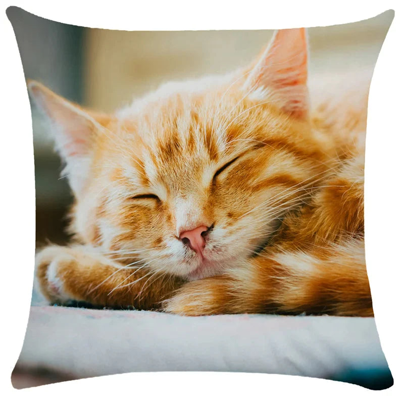 Afralia™ Bubble Black Cats Cat Pillow Cases Sofa Home Decor Custom Cushion Cover